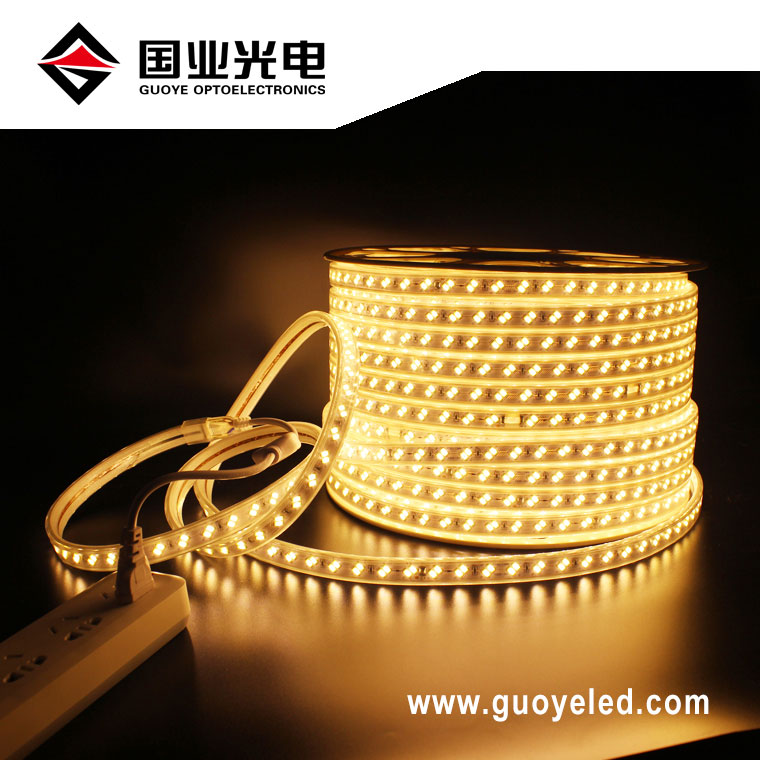 ไฟเส้น LED 110v 220v